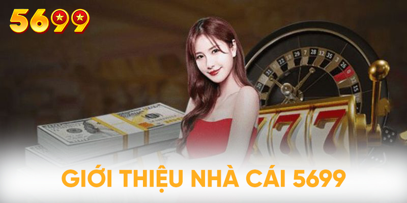 Những thông tin giới thiệu 5699 cơ bản nhất